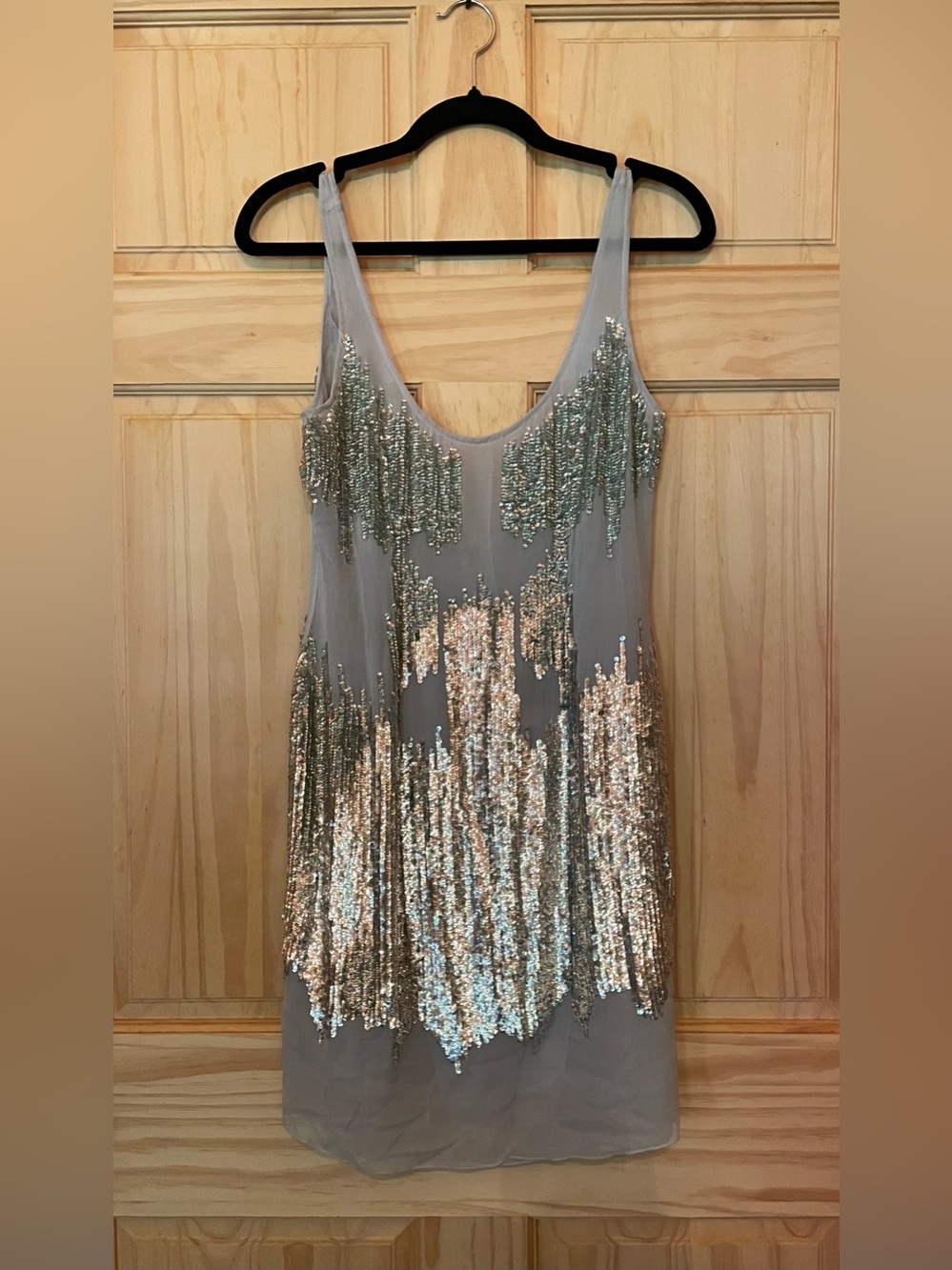 BASIX Black Label Silver Sheer COCKTAIL Dress